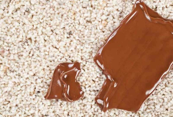 How To Remove Chocolate From Carpet? Common Problems And Solutions